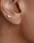 Marquise Stud Earrings