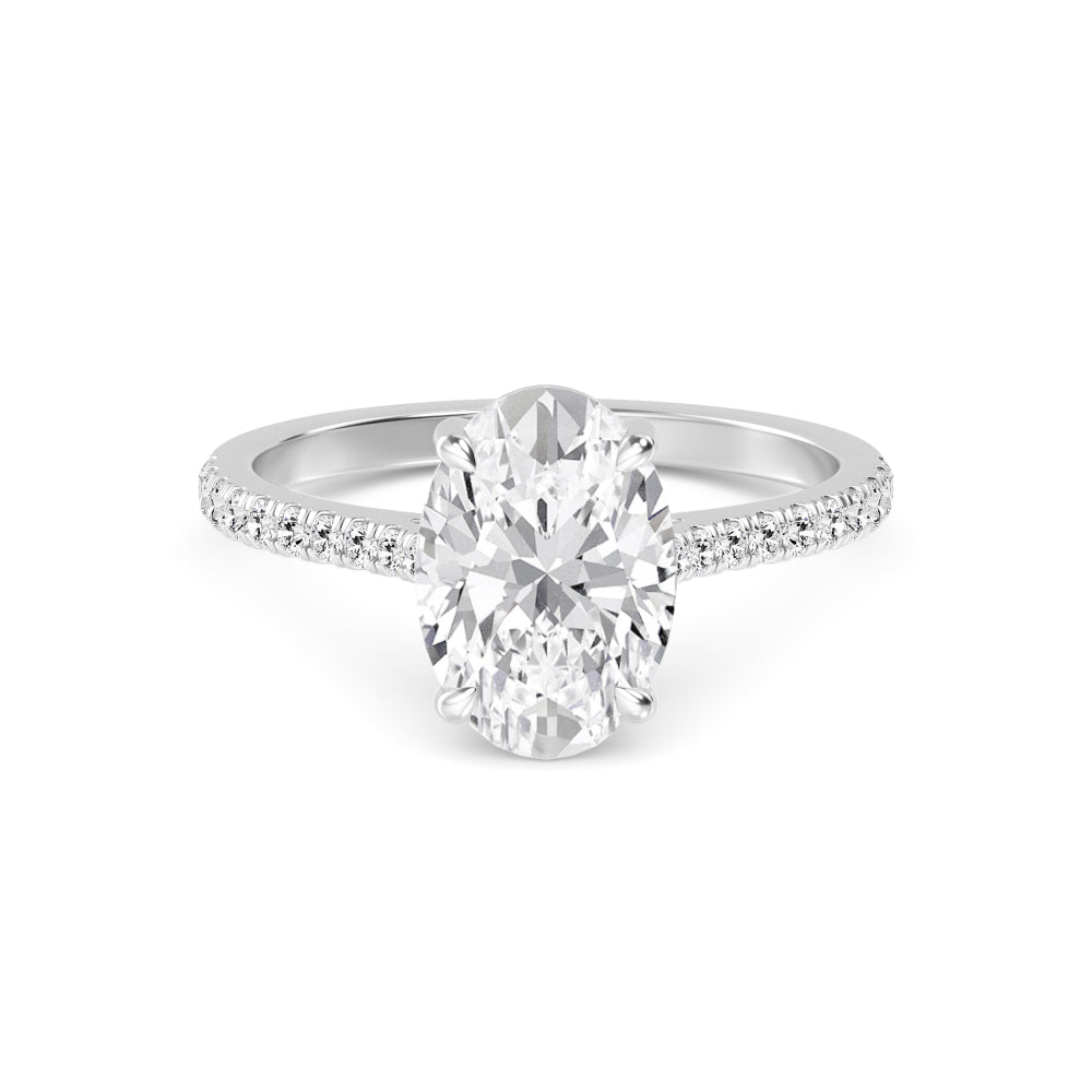Oval Pave Solitaire Ring - white gold - front view